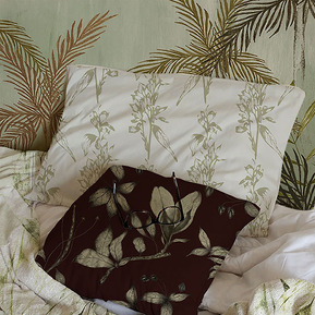 Rachel Birch Collection Visual 