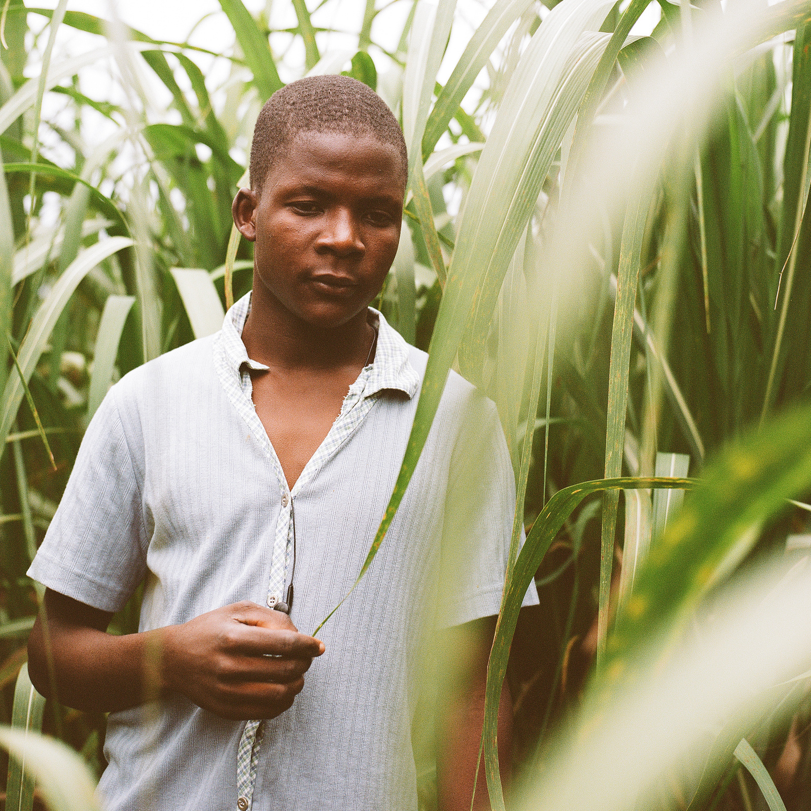 Felipe Pie Monaus, 17 grade 9, can no longer attend high school because he now lacks identification papers. He works in El Seibo, Dominican Republic in a batey which is a community of sugar cane workers.