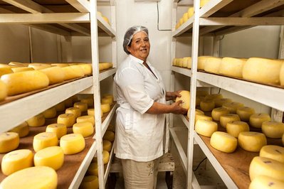 A woman stands in the middle of a room full of cheeses. 