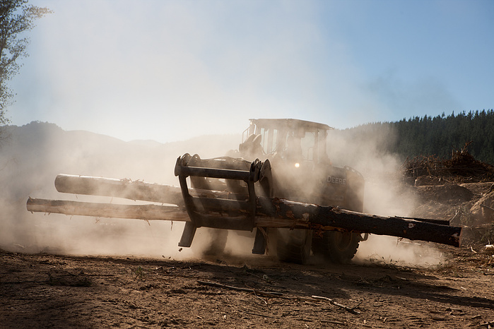 multinational forestry company which has become one of the five major producers of forestry resources worldwide.
The company maintains initiatives and projects in place to promote local development, fostering, environment