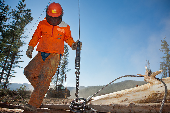 multinational forestry company which has become one of the five major producers of forestry resources worldwide.
The company maintains initiatives and projects in place to promote local development, fostering, environment