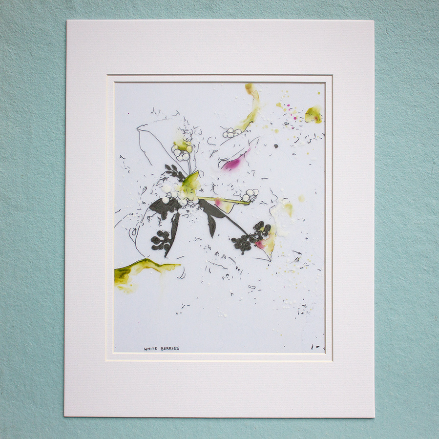 white berries drawn in pencil and painted with watercolours on mylar paper. 