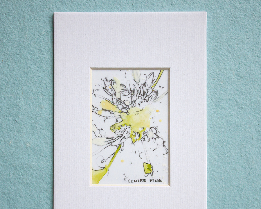 Yellow flowers drawn in pencil and painted with watercolours on mylar paper. 