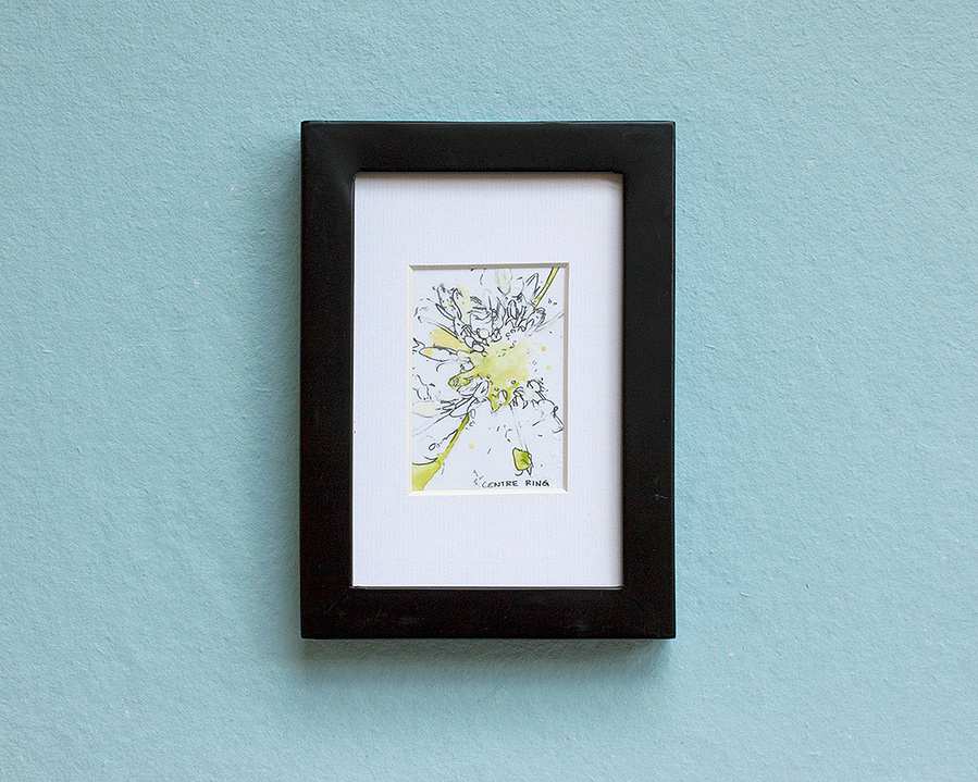 Yellow flowers drawn in pencil and painted with watercolours on mylar paper. 