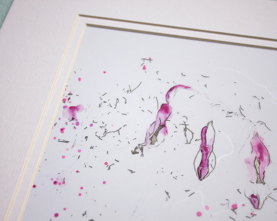 Bleeding Heart flowers drawn in pencil and painted with watercolours on mylar paper. 