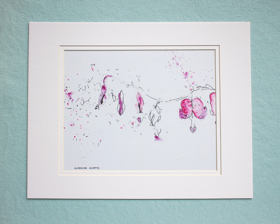 Bleeding Heart flowers drawn in pencil and painted with watercolours on mylar paper. 