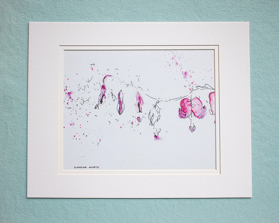 Bleeding Heart flowers drawn in pencil and painted with watercolours on mylar paper. 