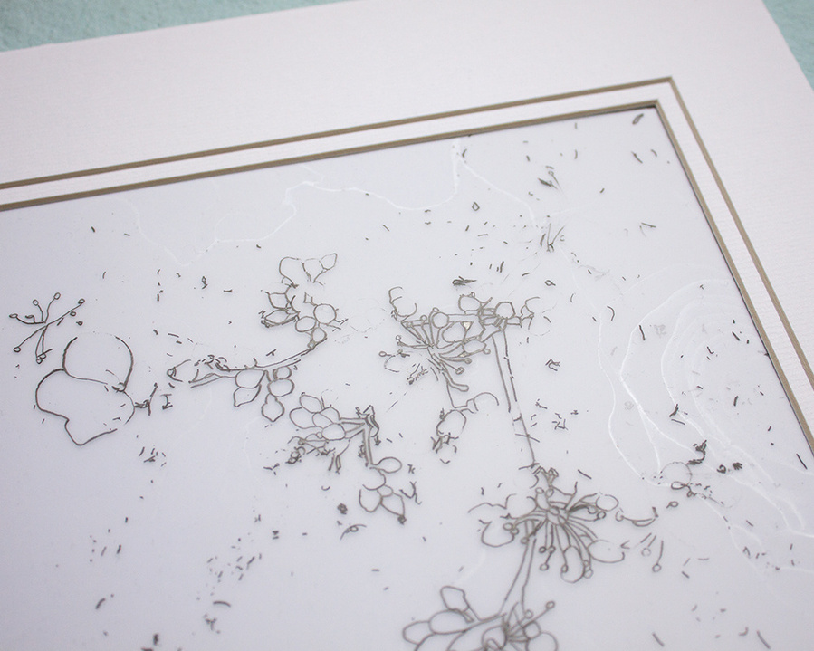 Small flowers drawn in pencil on mylar paper. 