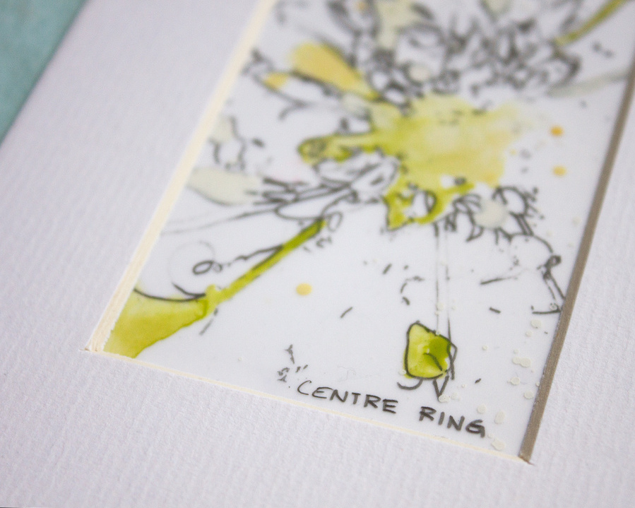 Yellow flowers drawn in pencil and painted with watercolours on mylar paper. 