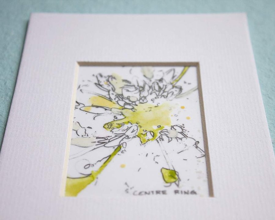 Yellow flowers drawn in pencil and painted with watercolours on mylar paper.