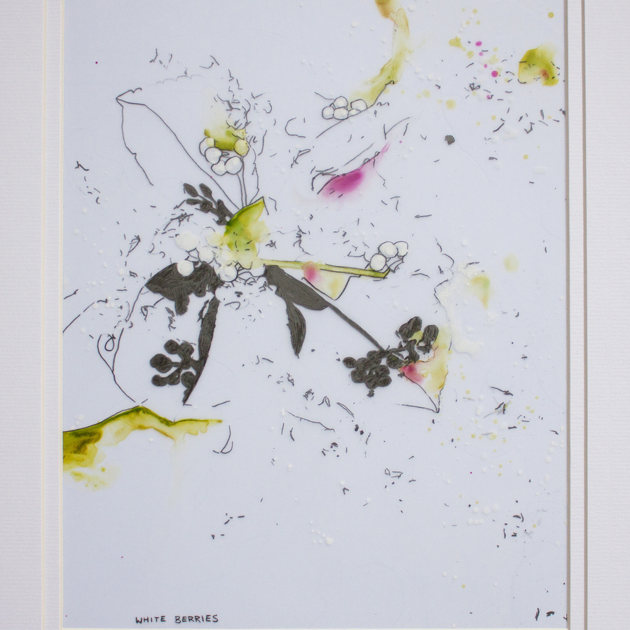 white berries drawn in pencil and painted with watercolours on mylar paper. 