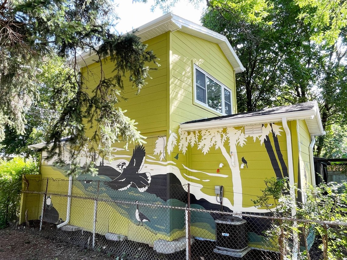 Mural on the side of a green laneway house showcases local animals from the neighbourhood. The walls face a backyard and a park which makes the mural available for the whole community. 