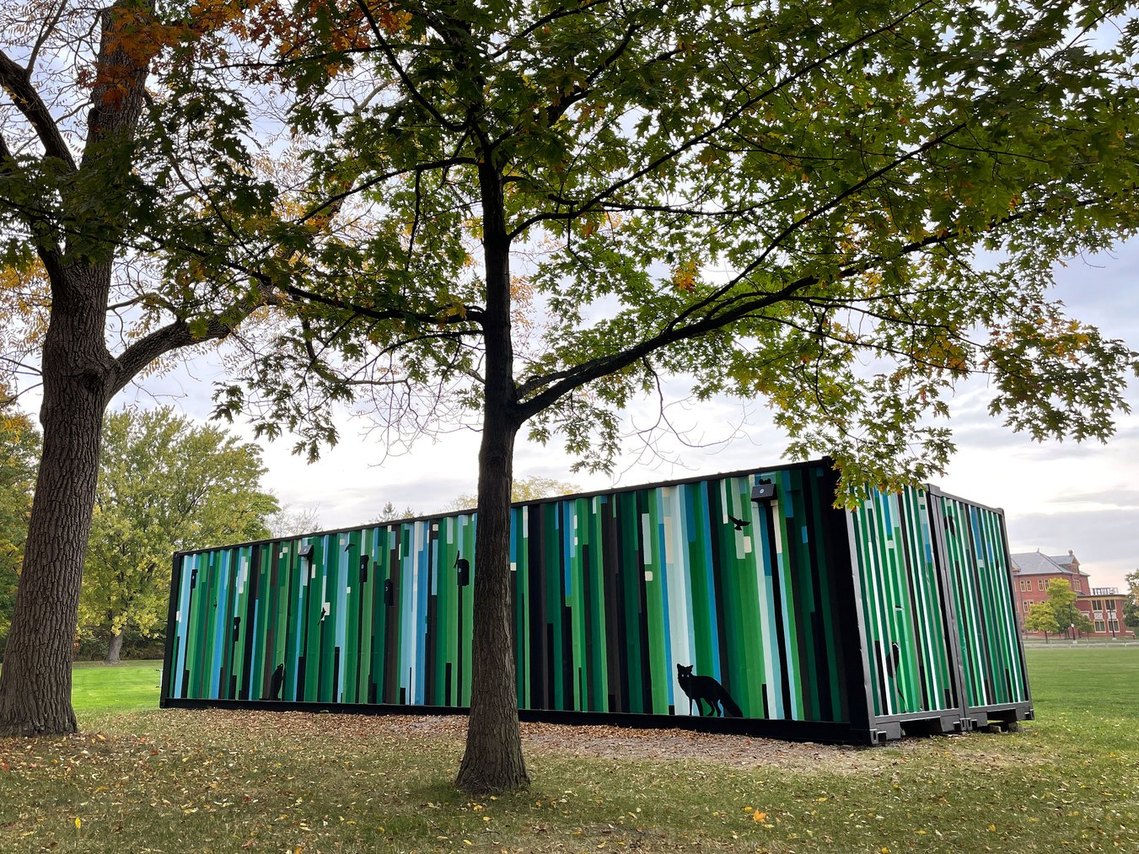 A bunkie in a football field at Humber College is transformed into a forest of local animals and native birds. This piece of art in Colonel Samuel Smith Park attracts birders and Australian football players alike. 