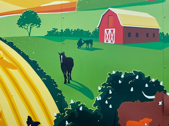 A black horse stands in a warm, green field. His long shadow reveals that the sun is about to set on a late summer's day.