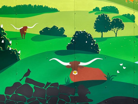 A Texas longhorn sits peacefully among green hills, chestnut trees, and a stone wall. 