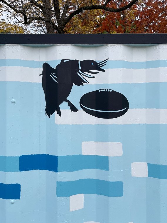 A mallard duck kicks a football to his teammate. 
