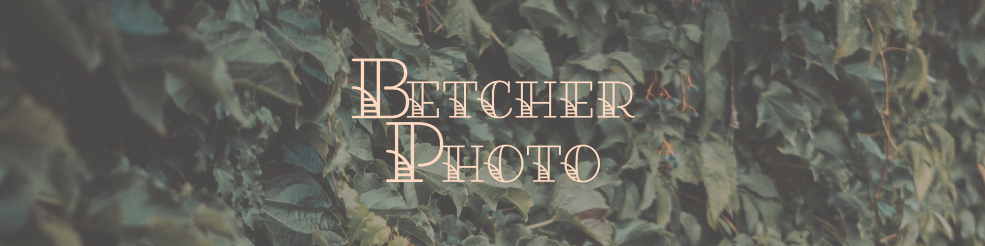 This classic looking Betcher Photo banner logo has light pink script against a background of green ivy.  Betcher Photo is a wedding photography company based out of Milwaukee, Wisconsin, serving the midwest and beyond.