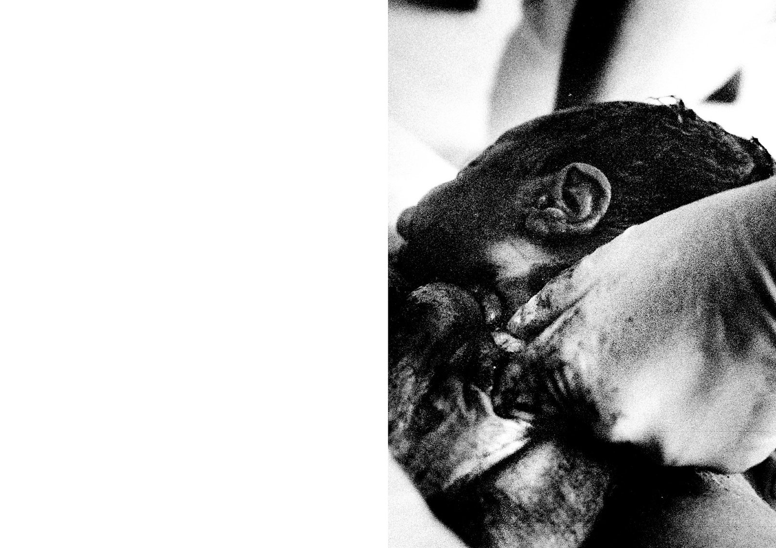 Il Vuoto e il Tempo © Giovanni C. Lorusso