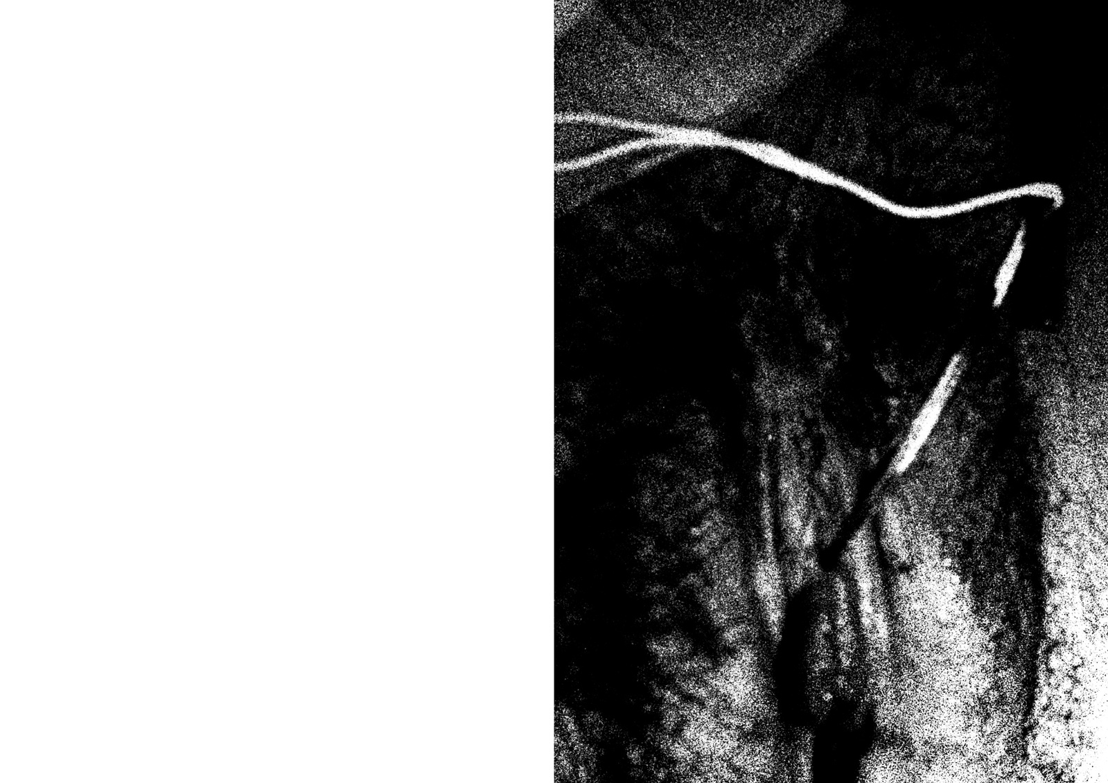 Il Vuoto e il Tempo © Giovanni C. Lorusso