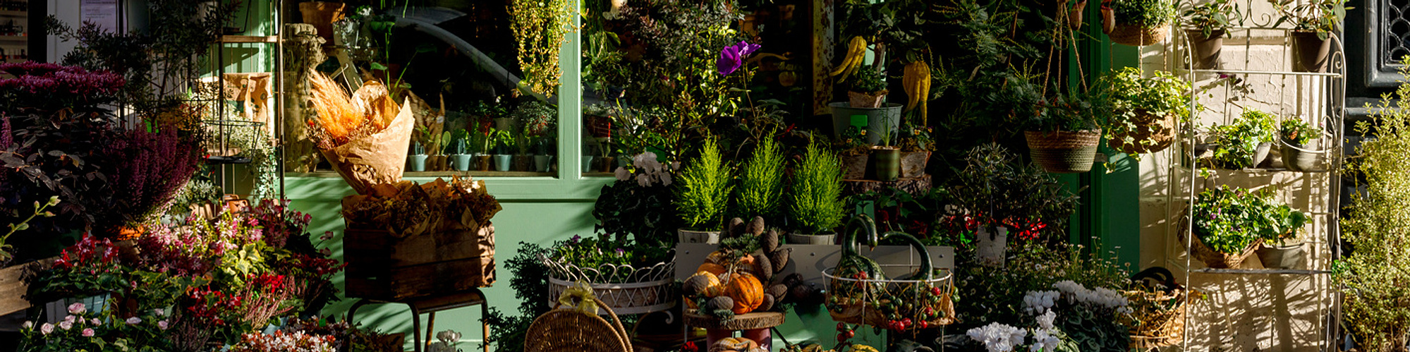 fotografía de floristerías Barcelona, fotógrafa floral Barcelona, fotografía floral profesional, fotografía para floristerías, branding visual floristerías, fotografía de flores Barcelona, fotógrafa de interiores Barcelona, contenido para Instagram floris