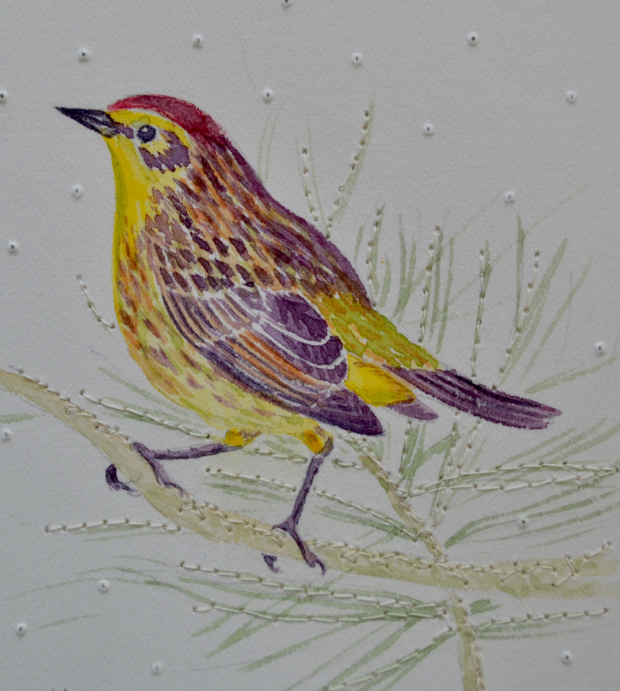 paper stitch saskia watercolour bird drawing original teacup colour