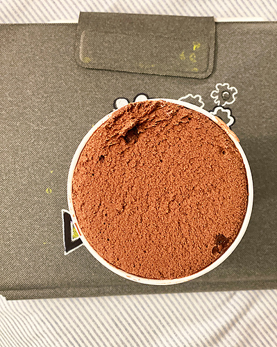 A pint of chocolate ice cream atop an iPad Pro on a bed.