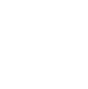 Laurent Tourrier - Portfolio