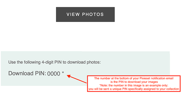 Your download PIN can be found at the bottom of the Pixieset email beneath the 'VIEW PHOTOS' button link.