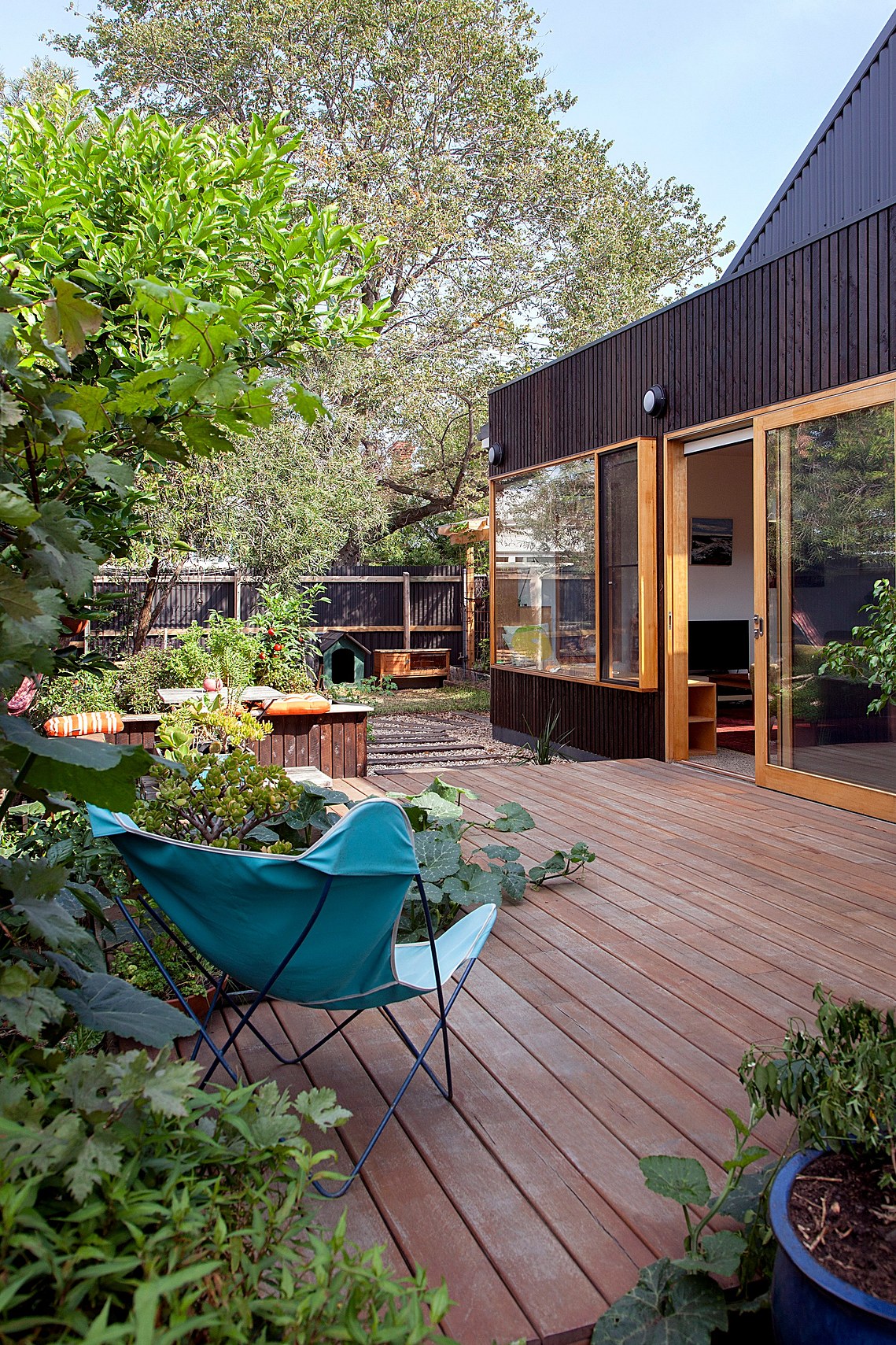 Relaxed butterfly chair looking towards a new room in a suburban garden. Sustainable House Design Brunswick