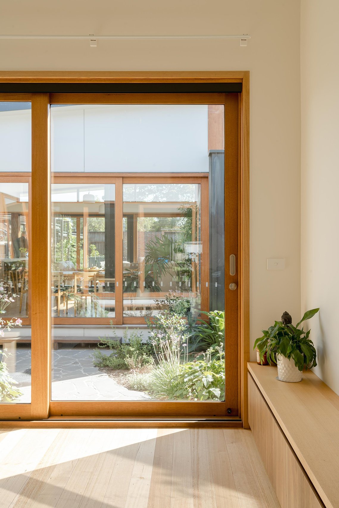 Interior north facing window looks out onto a greenery filled courtyard. Sunlight spills into the space. Sustainable living in Brunswick