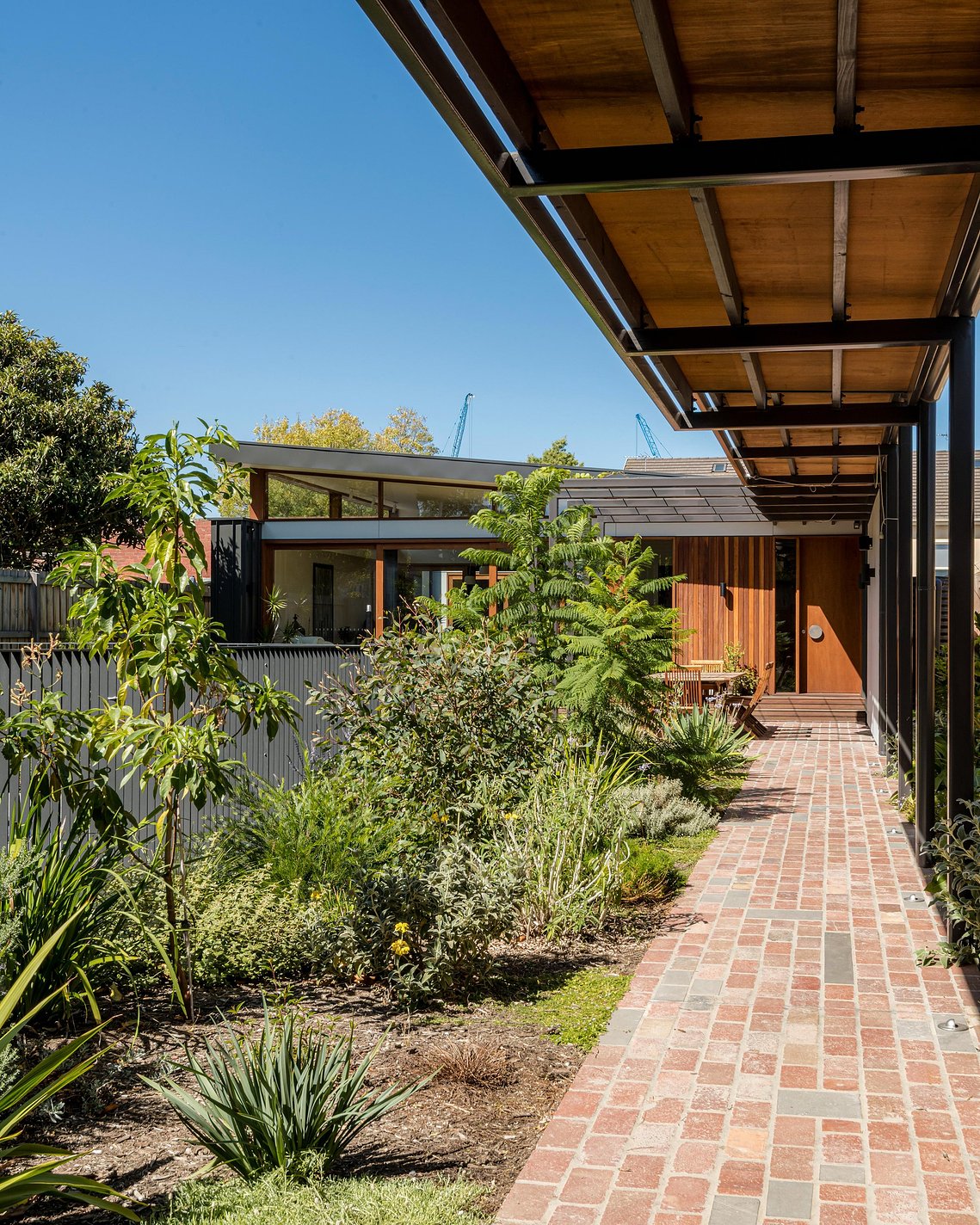External pedestrian covered walkway through a green lush garden to the front door of a house. Sustainable living Brunswick
