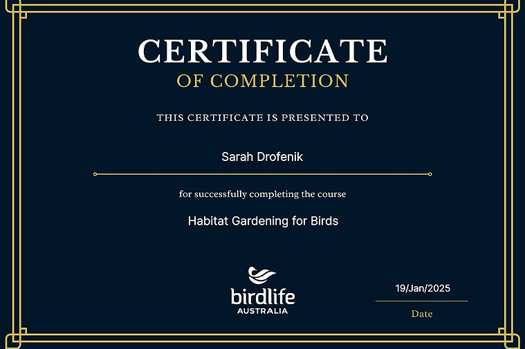 Sarah Drofenik has completed a Birdlife short course on Habitat Gardening. Habitat Gardening promotes increased  biodiversity of an area, and therefore the sustainably of a place