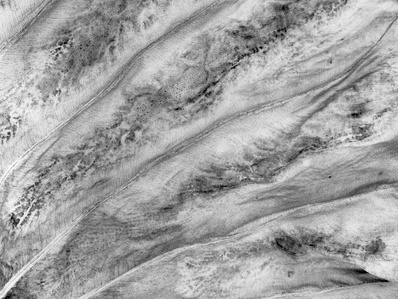 Solitude V - Last Look - Black and white medium format film photography - Dried monstera leaf close up looking like a  view from the sky on a deserted landscape