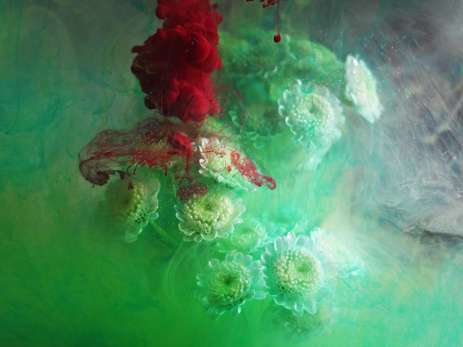A2 Free Falling print - Suzanne Bainton Photography