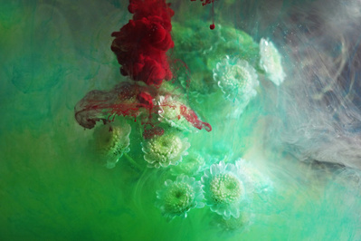 flowers in colourful ink-suzanne-bainton