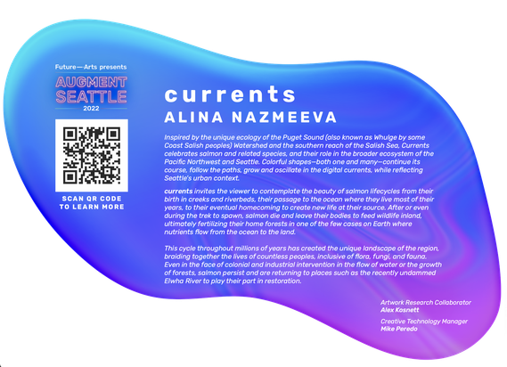 The artwork description 