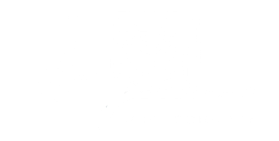 Anjin Windgasse's Portfolio