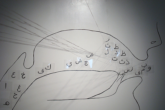  © 2015 Nahed Mansour Disorientalism