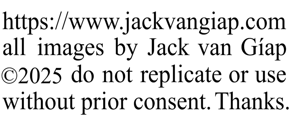 Jack van Giap