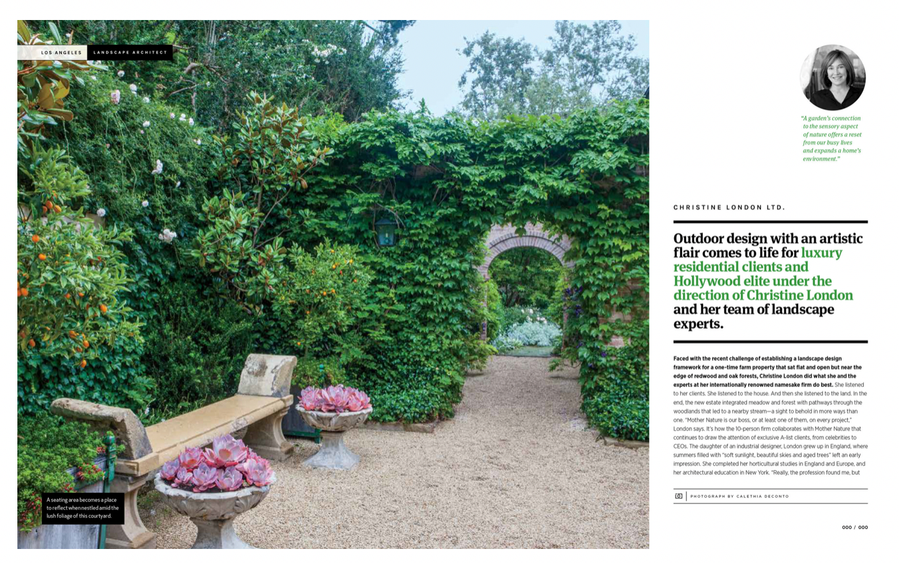 Portfolio of work for Christine London's 
Project 14 and Project 8 