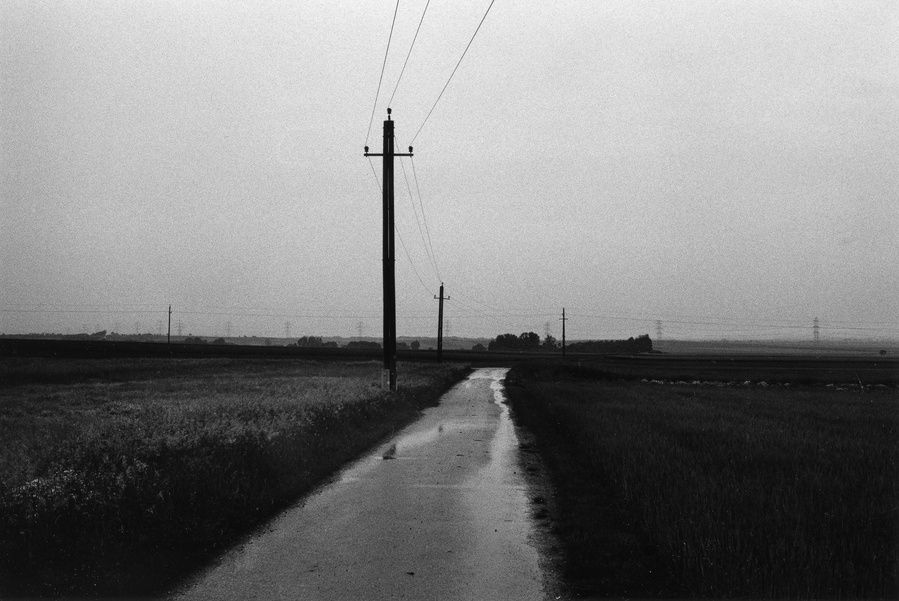 Black and white photograph of a telephone pole in a misty and gloomy setting 