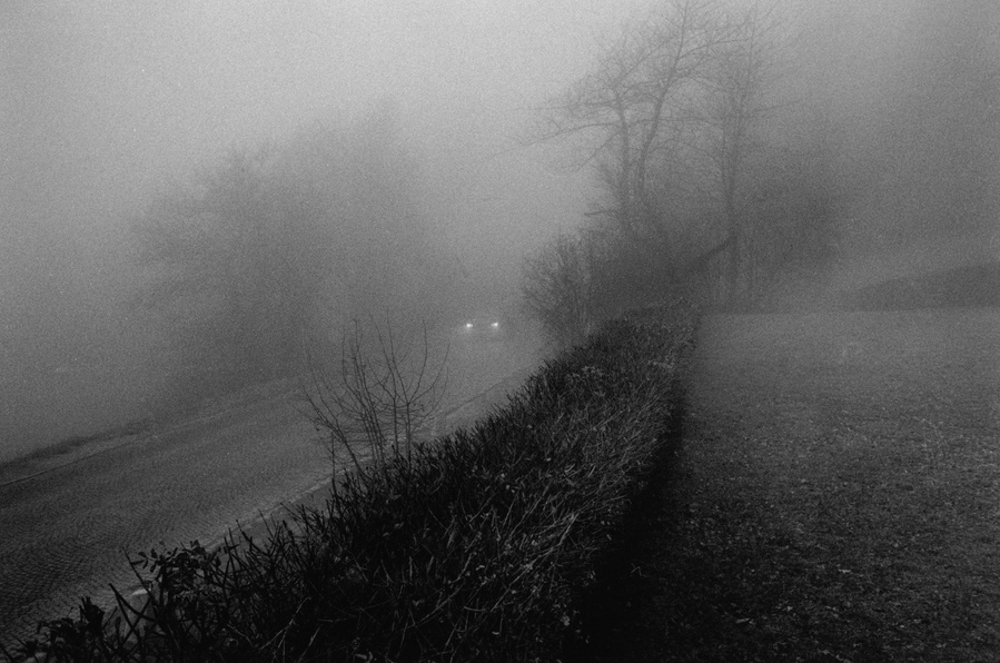 A black and white photograph of a BMW driving out of the fog 