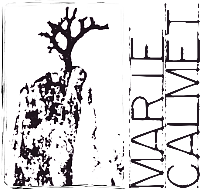 Marie Calmet artiste plasticienne