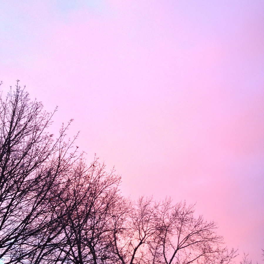 A pink sunset sky with a tree peeking up in one corner.