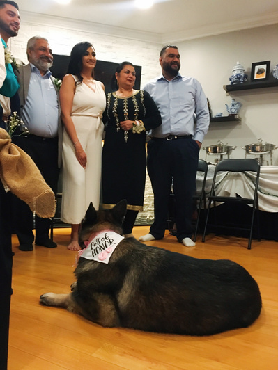 A family stands posing in a living room with a dog lying down facing them wearing a Dog of Honour bandana.