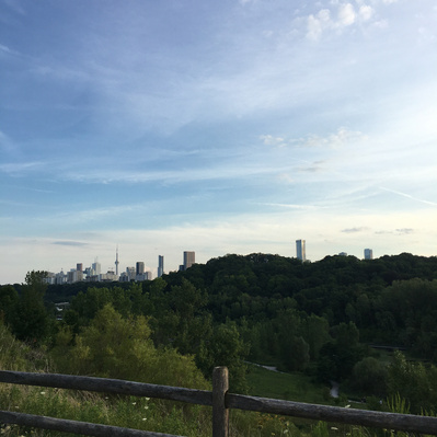 The skyline of the city of Toronto taken from a high hill.