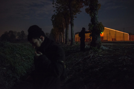 Activists controlling the gates while using Walkie Talkie Earpieces to communicate with two activists sneaked inside a swine intensive farm in Northern Italy . This moment is part of a clandestine investigation about "Prosciutto di Parma".