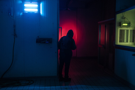 An activist during a nighttime visit inside a slaughterhouse in central Italy