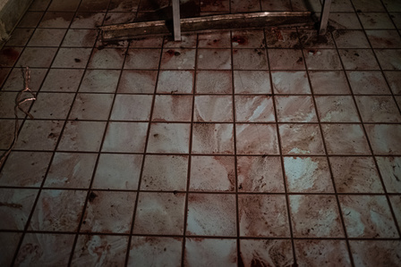 The bloodstained floor of a slaughterhouse seen at night during a nighttime investigation with the facility closed.