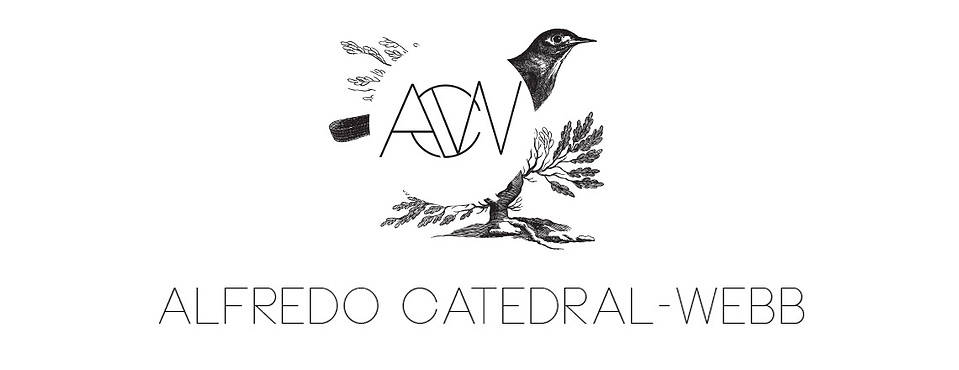 Alfredo Catedral Webb's Portfolio